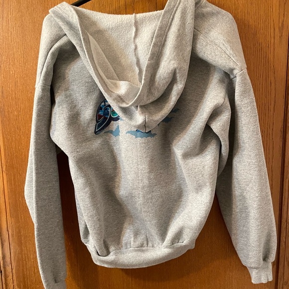 Disney Parks World Soarin’ Jacket Youth XL Gray Zip Hoodie Kids - Picture 6 of 6
